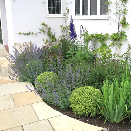 Front Garden Design Guildford Surrey