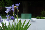 garden design surrey