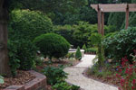 garden design surrey