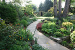 garden design surrey